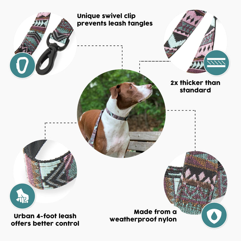 Embark Adventure Dog Leashes - Colorful, Strong and Sturdy Dog Leash for Small, Medium and Large Breed Dogs (Aztec, 4 Ft) - PawsPlanet Australia