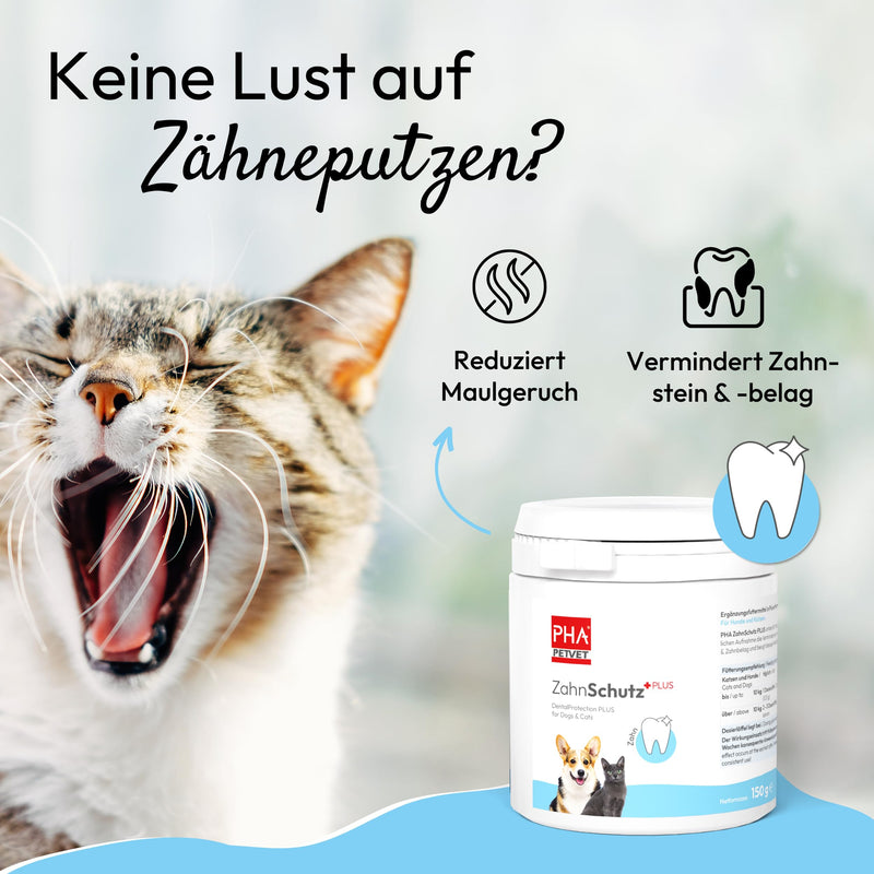 PHA Zahnschutz Plus Dental Powder for Dogs and Cats - Reduction of Tartar and Tartar, Against Bad Breath, Dental Care Dog Cat Teeth Cleaning, 150g 150g