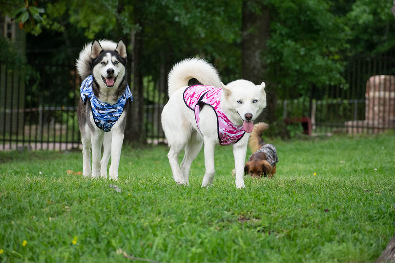 Dog Cooling Vest - 2-Layer Lightweight Performance - UPF50+ Full Coverage & Adjustable Fit for Small to Large Dogs (Blue, Large) Blue Camo Large (Pack of 1)