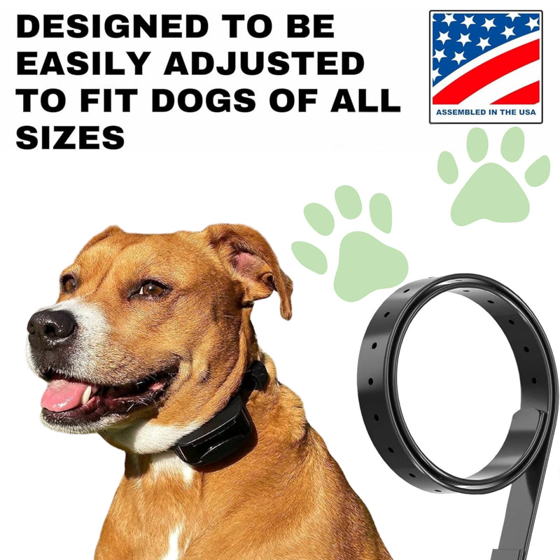 3/4" Replacement Collar - Shock Collar Replacement Collar, Invisible Fence Collar Replacement, Compatible with Educator, Pet Safe, Invisible Fence, PetSafe Collars (Blue, 3/4") Blue 3/4" - PawsPlanet Australia