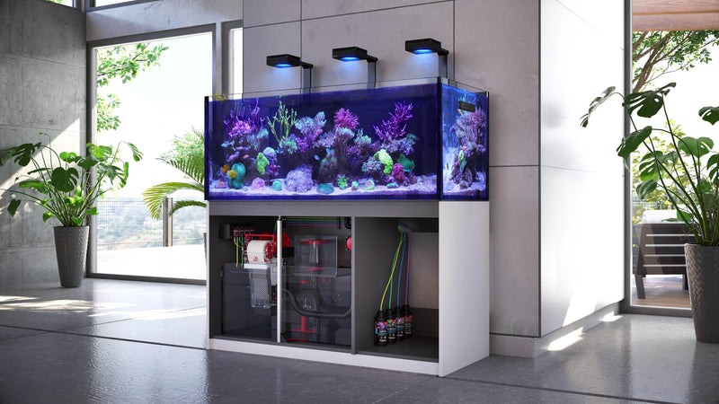 Red Sea Reef SPEC Aquarium Carbon 100 gm Box | Highly Activated Charcoal for Aquariums and Fish Tanks Freshwater Saltwater Marine