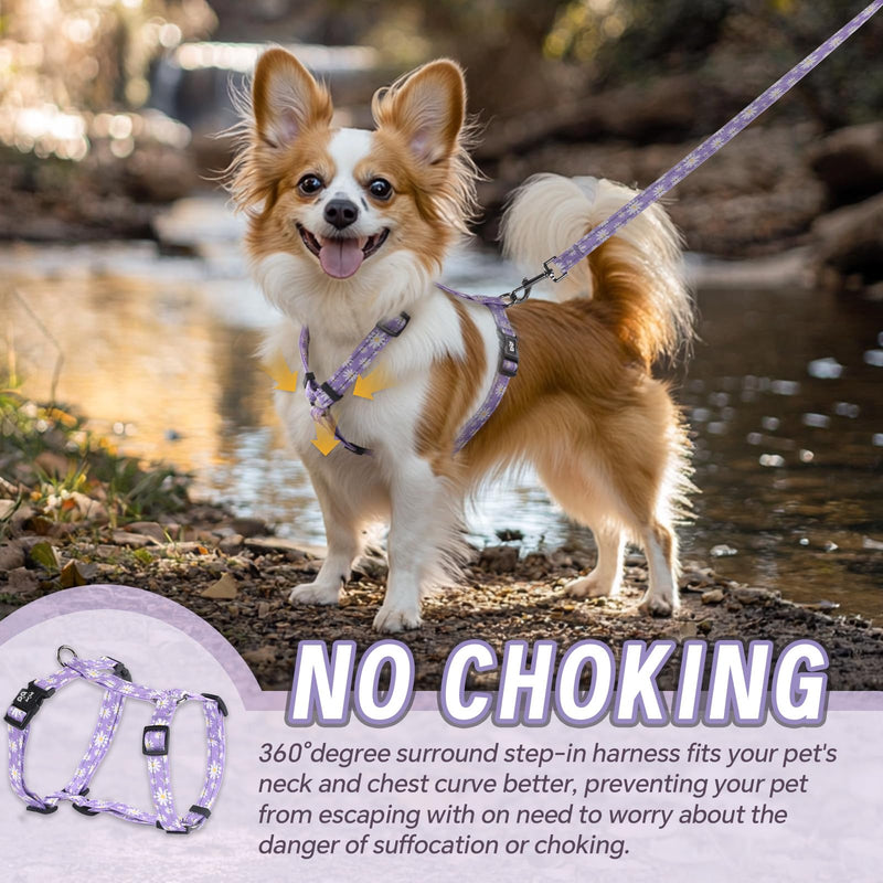 Dog Harness Leash Set, No Pull Adjustable Halter Cute Comfort Padded Handle for Medium Sized Large Small Dogs Walking Training Running with Reflective（XSmall,Purple） Purple XSmall - PawsPlanet Australia