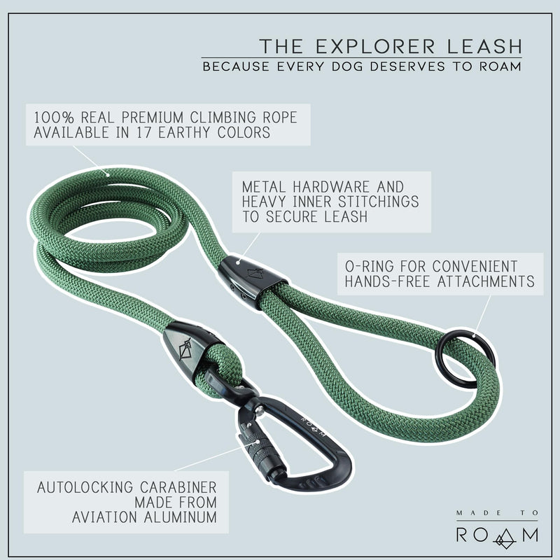 Premium Explorer Leash - Climbing Rope Leash with Autolocking Aviation Aluminum Carabiner - Colorado Nightsky, 6ft 6 Feet - PawsPlanet Australia