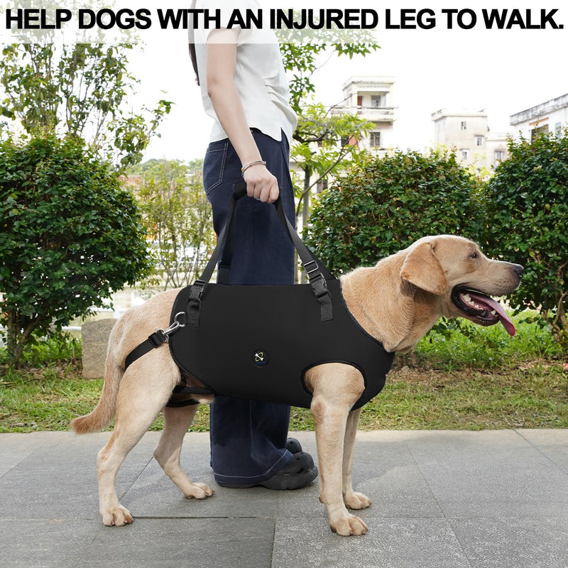 COODEO Dog Sling: Support & Rehabilitation Harness, Adjustable, Padded and Breathable, for Older, Disabled Dogs with Joint Problems or Stability Loss (Black, XL) Black