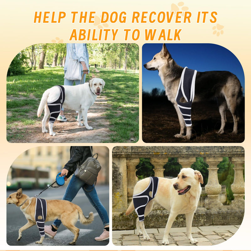 Adjustable Dog Knee Brace for Torn ACL and Ligament Injuries – Durable, Comfortable Support for Hind or Front Legs, Helps Recovery, Stabilizes Ligaments, and Enhances Daily Activity, S