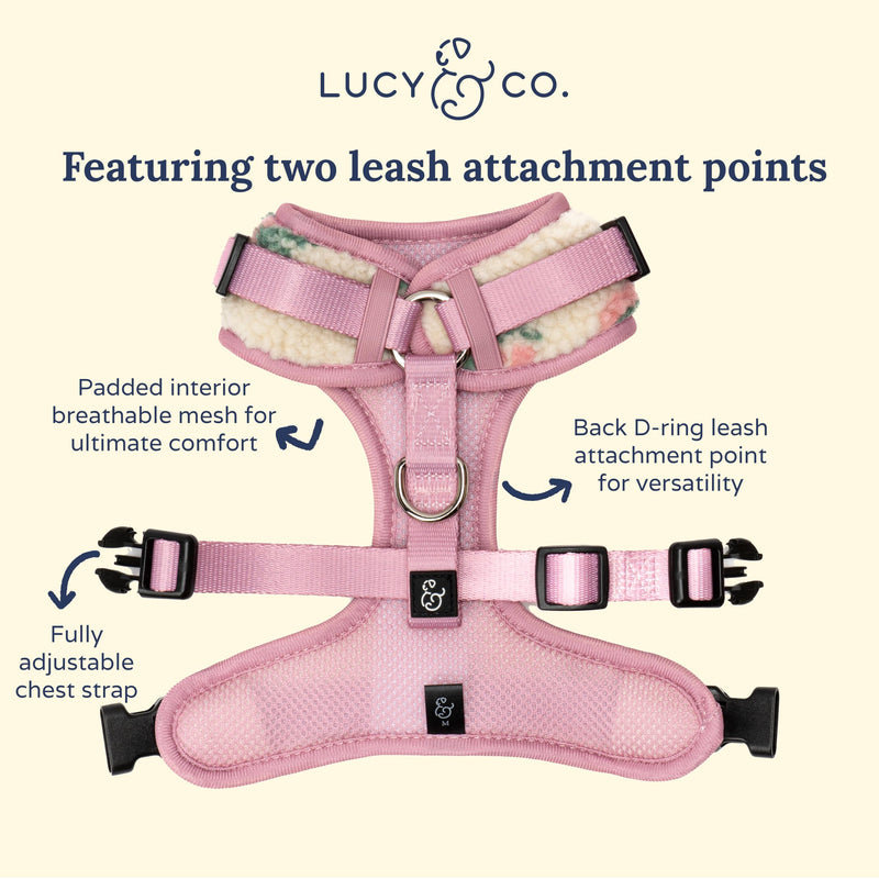 Lucy & Co. The in Full Bloom No-Pull Dog Harness for Dogs – Comfortable Leash Training Product w/Adjustable Chest & Neck Straps - Floral Teddy Fleece - X-Large - PawsPlanet Australia