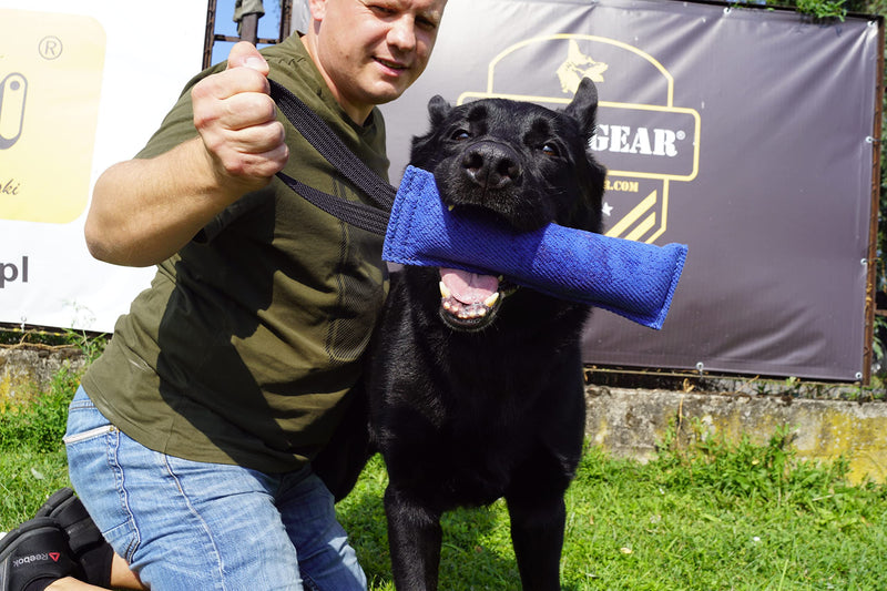 Dingo Gear French Linen tug Toy for Dog, Dog Bumper for Training, Agility, tug of war, Dog bite Pillow for Strong Dog, 1handle 11" Black S00073 1 handle Large - PawsPlanet Australia