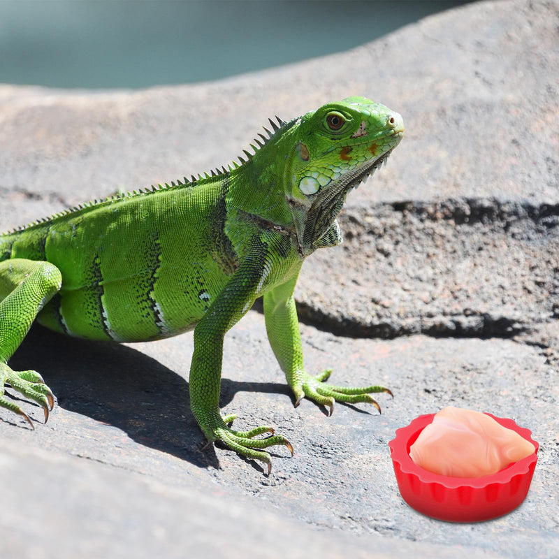 7 Pack Crested Gecko Food Dish Reusable Small Crested Gecko Food Cups Water Feeding Cup Bowl Colorful Silicone Reptile Feeding Cups for Tortoise, Small Pet and Crab - PawsPlanet Australia