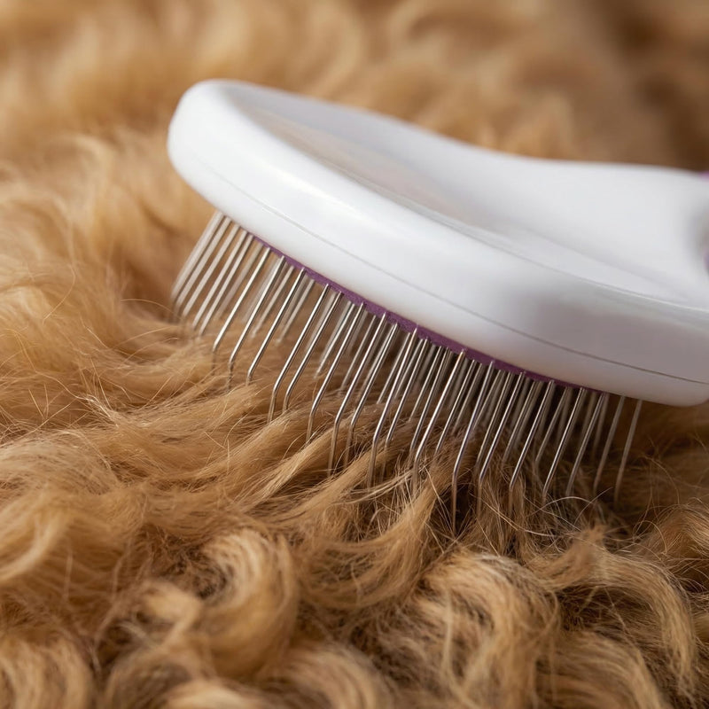 Poodle Pet Slicker Brush - Effortlessly Removes Tangles, Mats & Loose Hair | For Short or Long Hair | Purple
