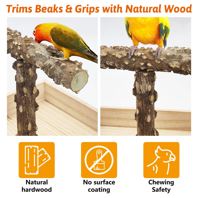 BNOSDM Portable Bird Perch Stand with Potty Tray, Natural Wood Tabletop Training Gym Parrot Playground Toy for Budgies, Cockatiels, Lovebirds,Conures 1. T-Shaped Bird Stand