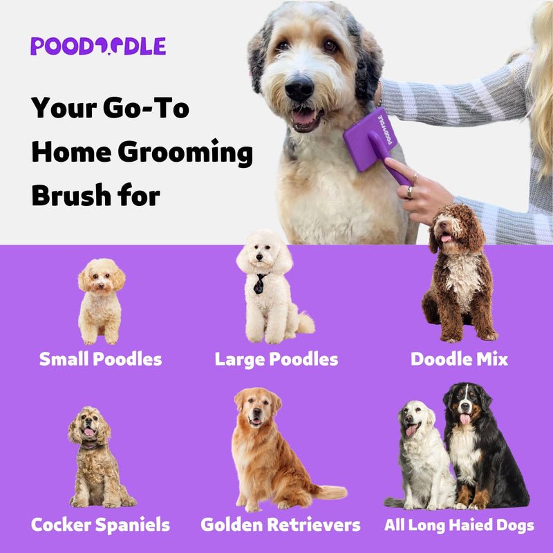 Dog Slicker Brush, Grooming Brush for Poodle, Doodle, Goldendoodle & All Long Haired Dogs, Long Pin Wood Brush Pefect for Dematting & Detangling, Effortless Grooming Pet Hair At Home - Large - PawsPlanet Australia