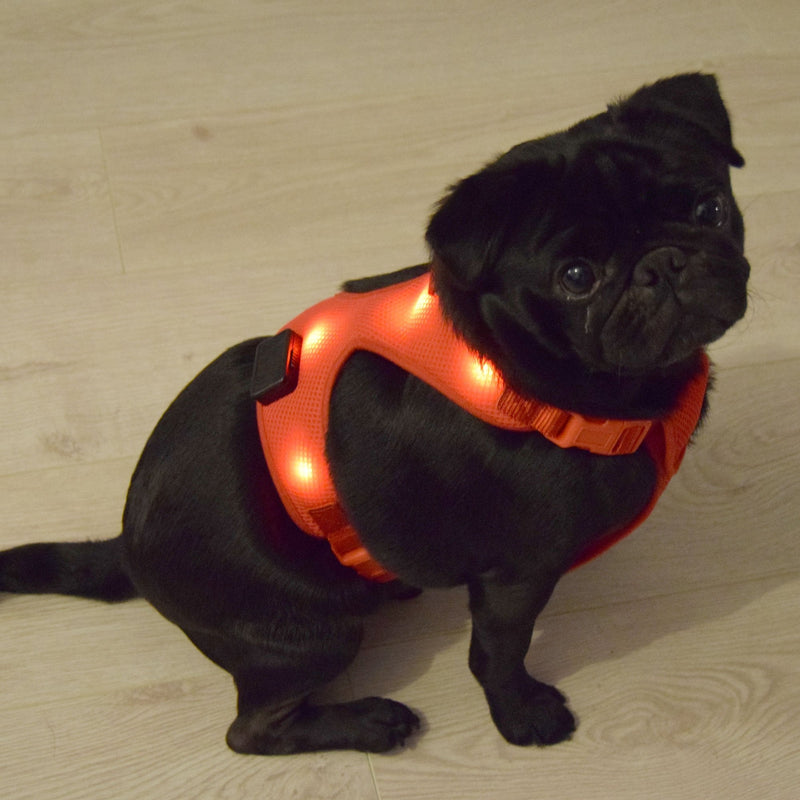 HOTDOG USB Rechargeable LED Dog Harness. Soft Mesh Harness No Pull Lighted Safety Harness. Increased Visibility & Safety Over LED Dog Collar. (Red, Large) - PawsPlanet Australia