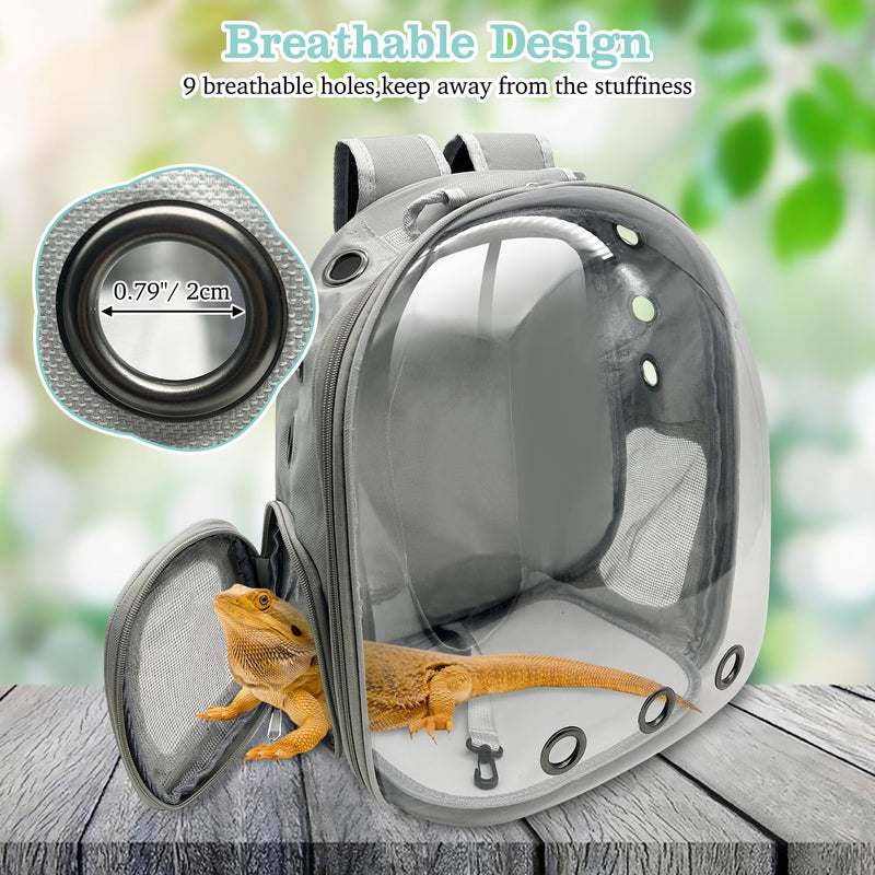 PINVNBY Bearded Dragon Carrier Backpack with Harness and Leash Set Large Reptile Travel Carrier Portable Lizard Backpack Clear Bubble Window Small Animal Carrying Bag for Gecko Kitten Rabbit (Gray) Gray - PawsPlanet Australia