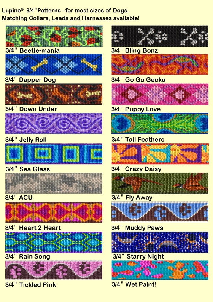 LupinePet Originals 3/4" Rain Song 10-14" Martingale Collar for Small Dogs 3/4"W; 10-14" Neck - PawsPlanet Australia