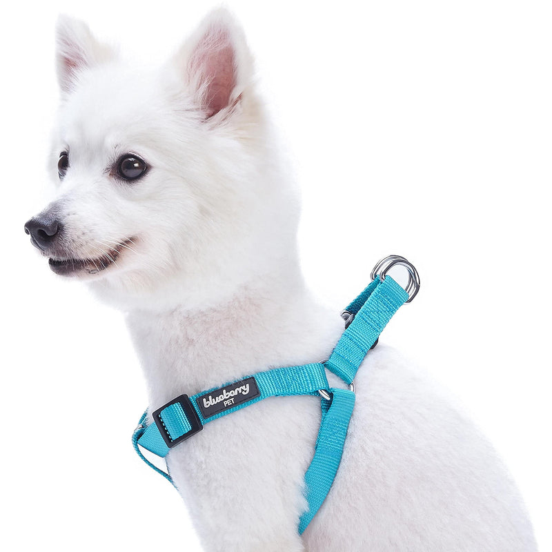 Blueberry Pet Essentials Bundle Set - Small Turquoise Dog Collar + Chest Girth 16.5-21.5" Harness - PawsPlanet Australia
