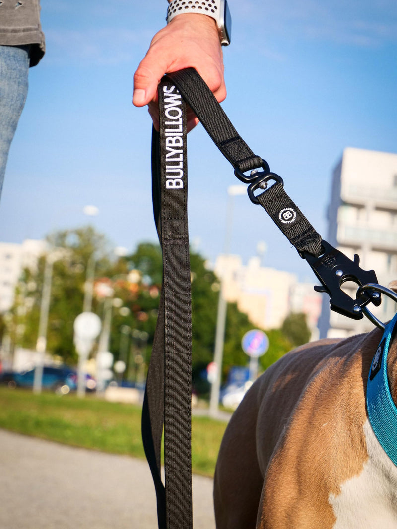 BullyBillows Anti-Tangle Swivel Combat Dog Lead | Padded Handle For Easier Walks | Anti Tangle & Pressure Tested Dog Lead | Suitable For All Dog Breeds - Black - PawsPlanet Australia