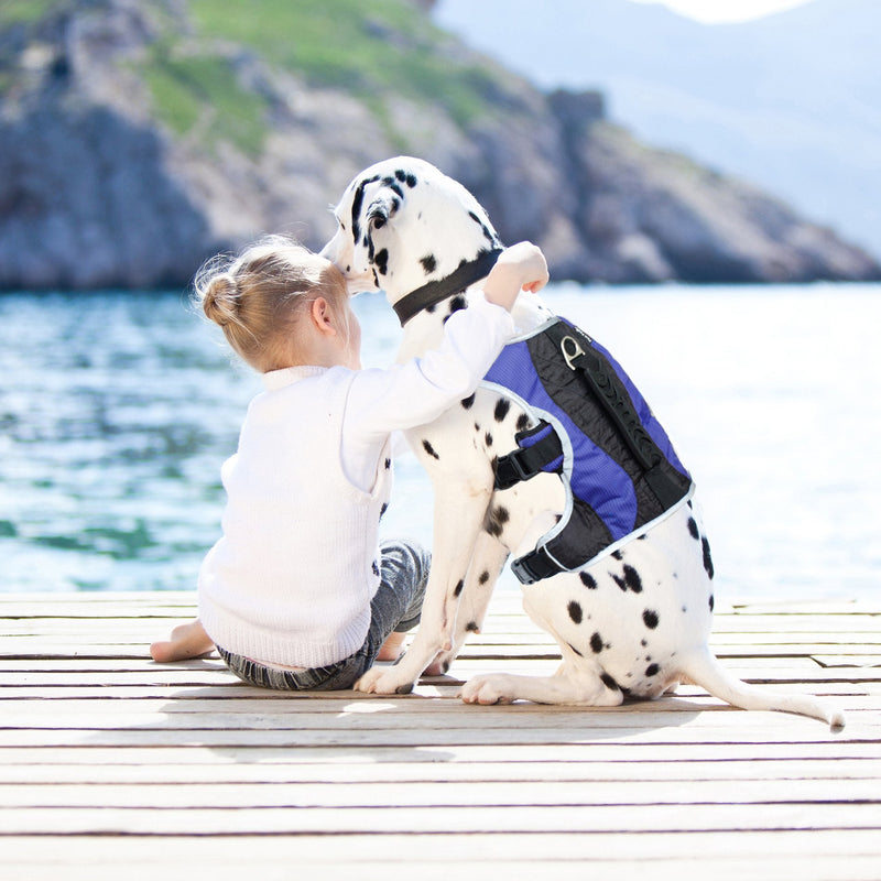 No-Pull Dog Harness - Padded, Mesh Fabric Dog Vest with Reflective Trim, Lifting Handles and Buckle Straps - Blue Dog Harness - L Large (27" - 38" chest) - PawsPlanet Australia