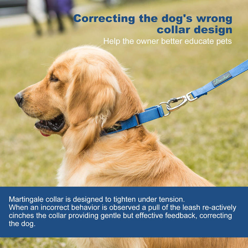 Martingale Dog Collar, Escape-Proof and No Slip Design, Heavy-Duty Nylon with Metal Buckle, Adjustable for Small, Medium & Large Dogs, Colorfast for Training, Daily Walks (Royal Blue, M) Medium: 14"-21" Royal Blue