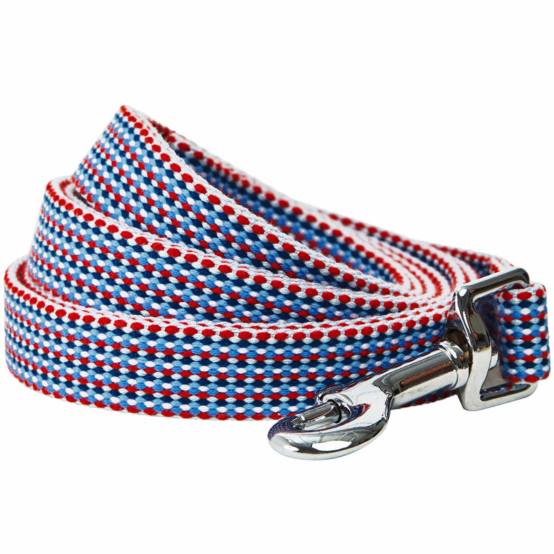 Blueberry Pet Multicolor Braids Dog Leash, 5 ft x 3/4", Medium, Leashes for Dogs 5' * 3/4" (Pack of 1) - PawsPlanet Australia