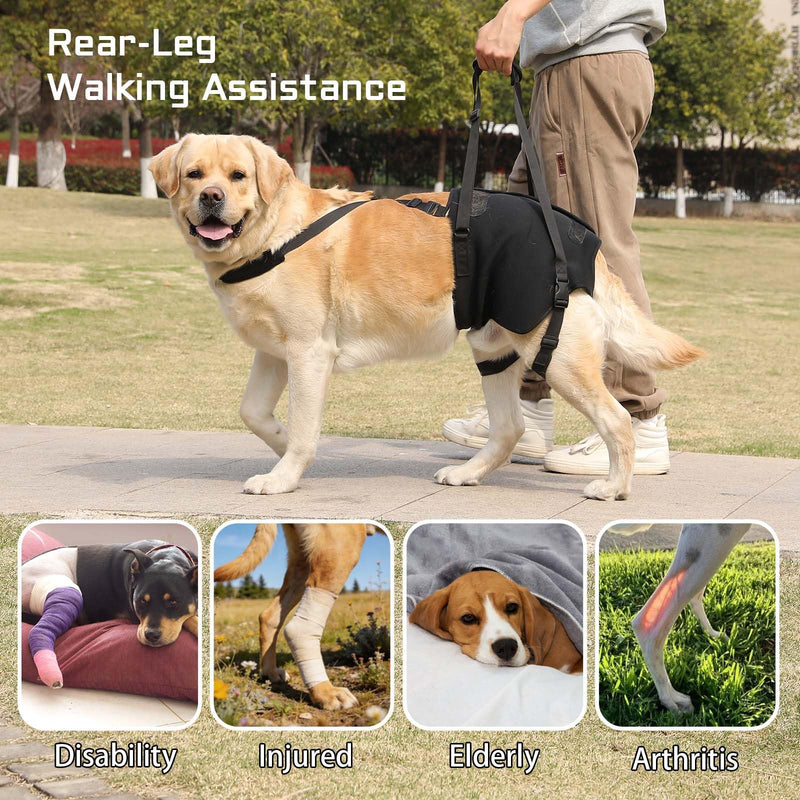 NOYAL Dog Lift Sling for Large Dogs – Hind Leg Support Harness for Senior, Injured, Disabled Dogs, Rear Leg Mobility Aid, Padded Handle for Stairs, Car, Walk Black Small