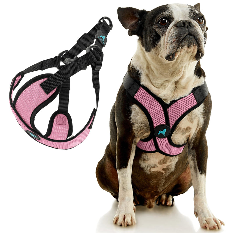 Gooby Comfort X Step in Lite Dog Harness - Choke Free, Escape Free with Light Breathable Mesh - Step in Dog Harness for Small Dogs Only - Quick Release Buckle, Metal D-Rings - Pink, Medium Medium (16-20") - PawsPlanet Australia