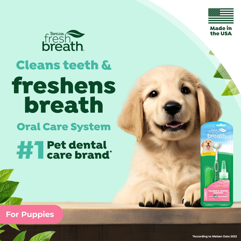 TropiClean Fresh Breath Toothbrush and Toothpaste Kit for Puppies, Teeth Cleaning Kit to Prevent Plaque & Tartar, Breath Freshener, Dog Dental Care Oral Care Kit for Puppy