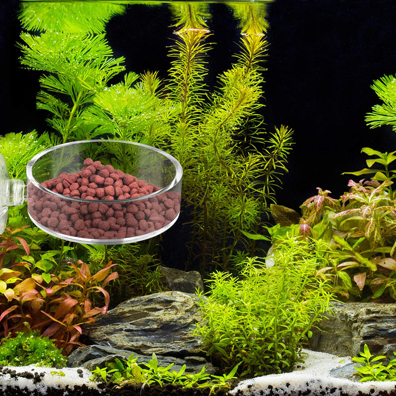 Dannisly Aquarium Glass Feeder Dish Shrimp Feeding Dish Clear-Round - PawsPlanet Australia