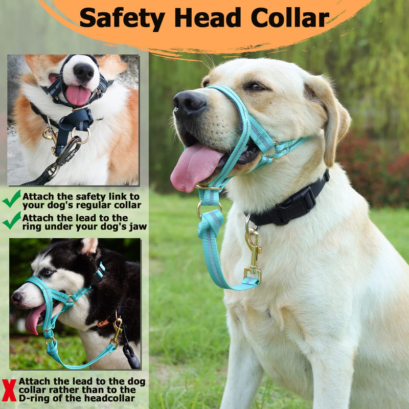 BARKLESS Dog Head Collar, No Pull Dog Halter with Soft Padding, Reflective Training Tool for Medium Large Dogs, Labrador, Stops Heavy Pulling and Easy Control on Walks L Turquoise