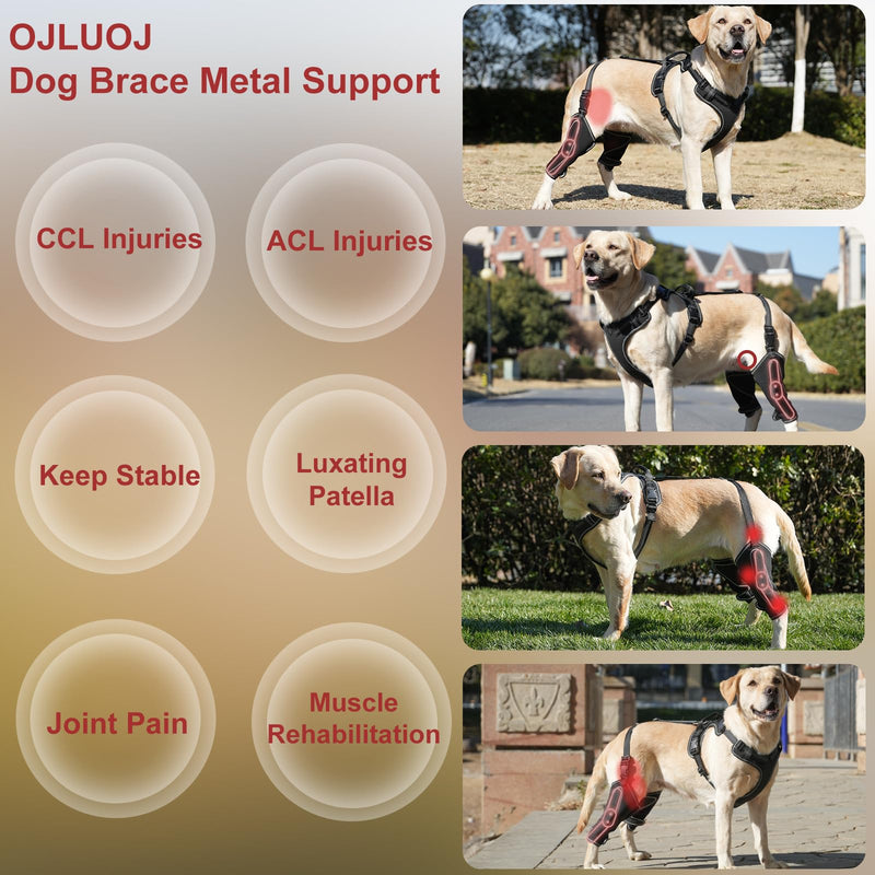 Dog Joint Knee Metal Hip Brace Support Full Body Stabilize Joints Suitable for 4 Limbs with Puppy Hip Traction Rope Extra Large Sizes XL