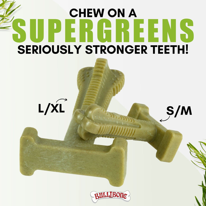 Bullibone SuperBrush: Dog Teeth Cleaning Brushing Toothbrush Stick - Long Lasting Nylon Chew Toy for Oral Care and Dental Health Super Greens - Single Large - PawsPlanet Australia