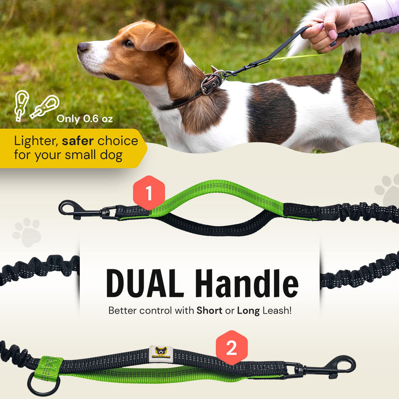 Hands Free Dog Leash for Small Dogs - Lightweight Waist Leash for Running Walking Hiking with Dogs Under 30 lbs - Adjustable Waist Belt, Pouch, Reflective Retractable Bungee, Dual Handles - PawsPlanet Australia