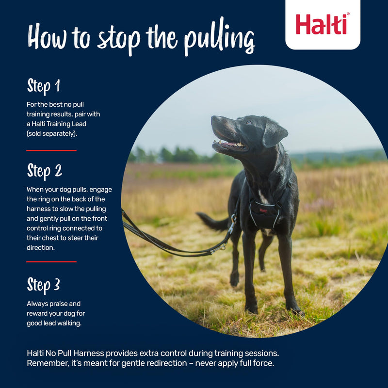 HALTI No Pull Harness - to Stop Your Dog Pulling on The Leash. Adjustable, Lightweight and Easy to Use. Reflective Dog Training Harness for Large Dogs (Size L, Desert Sand) - PawsPlanet Australia
