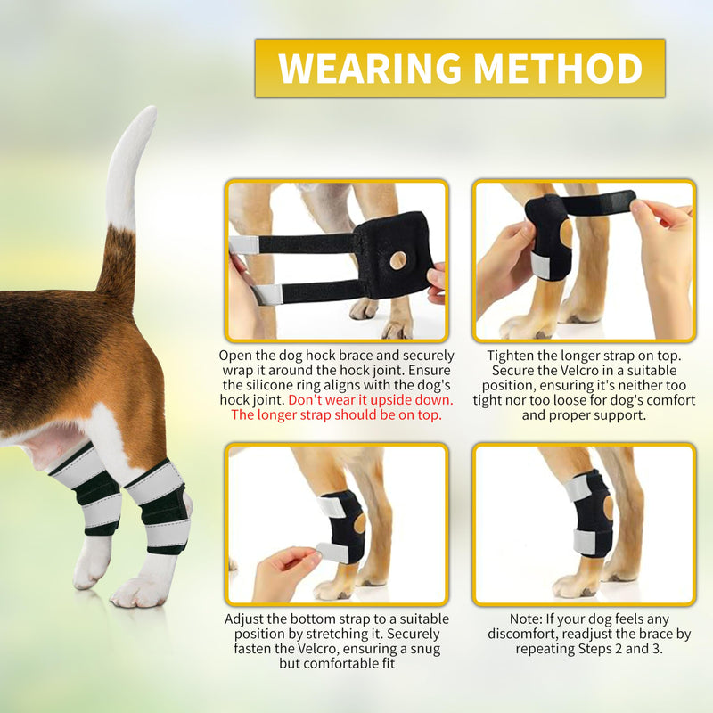 AGON® Dog Rear Brace Pair Hock Joint Brace with Metal Strings and Reflective Wraps Compression Straps Canine Back Leg Protects Wounds. Heals Prevents Injuries Sprains Loss of Stability by Arthritis Medium - PawsPlanet Australia