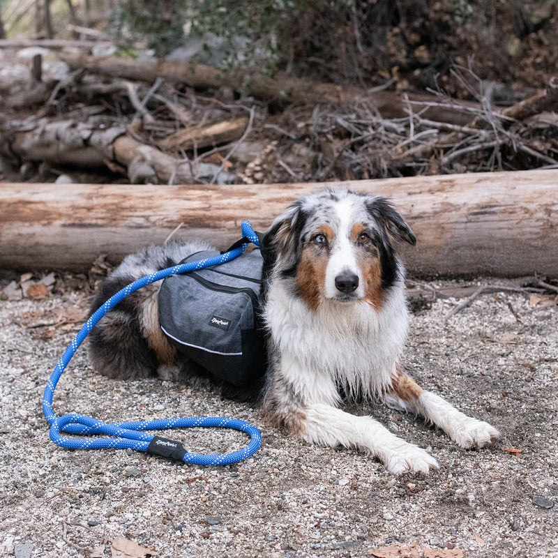 Adventure Backpack - Pink - L - PawsPlanet Australia