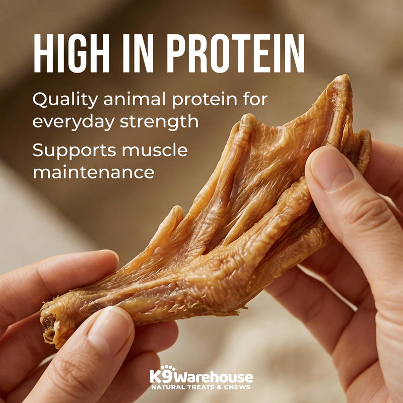 K9warehouse Duck Feet for Dogs – High Protein Dehydrated Dog Treats, Natural Crunchy Chews with Collagen, Glucosamine & Chondroitin for Joint & Hip Health, Dental Care, Small to Large Breeds (30 pcs) 30 Count - PawsPlanet Australia