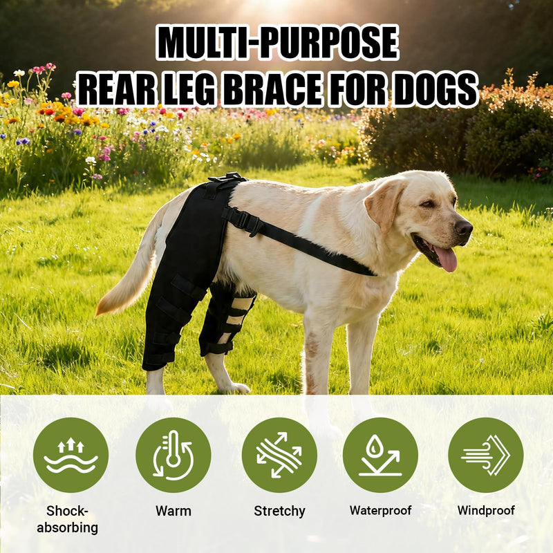 Dog Leg Brace for Back Leg Knee Support Targets Torn A CL Cruciate Ligament Issues Osteoarthritis Luxating Patella Adjustable Pet Knee Brace for Dogs (HJ25 rear double leggings black L) HJ25 rear double leggings black L