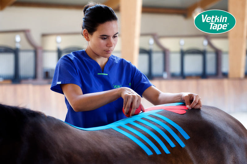 VETKIN VetkinTape® Veterinary Kinesiology Tape | Taping for Horses & Dogs | Equine & Canine kinesiotape | Latex Free and TÜV Quality Mark Certified | 1.2 inch - (3cm-5m) | Pack of 2 Rolls | Black - PawsPlanet Australia
