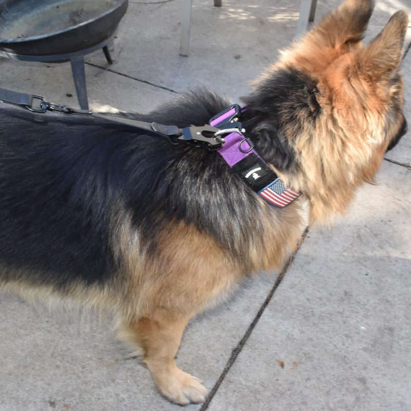 Heavy Duty Waterproof Dog Leash - Large Scissor Frog Quick Release Clasp, PVC Rubber Coated Nylon Training Lead for Large and X-Large Dogs, Odor Free, Durable, Easy to Clean, Nonslip Grip, Secure Hold 10FTLG BLACK PVC