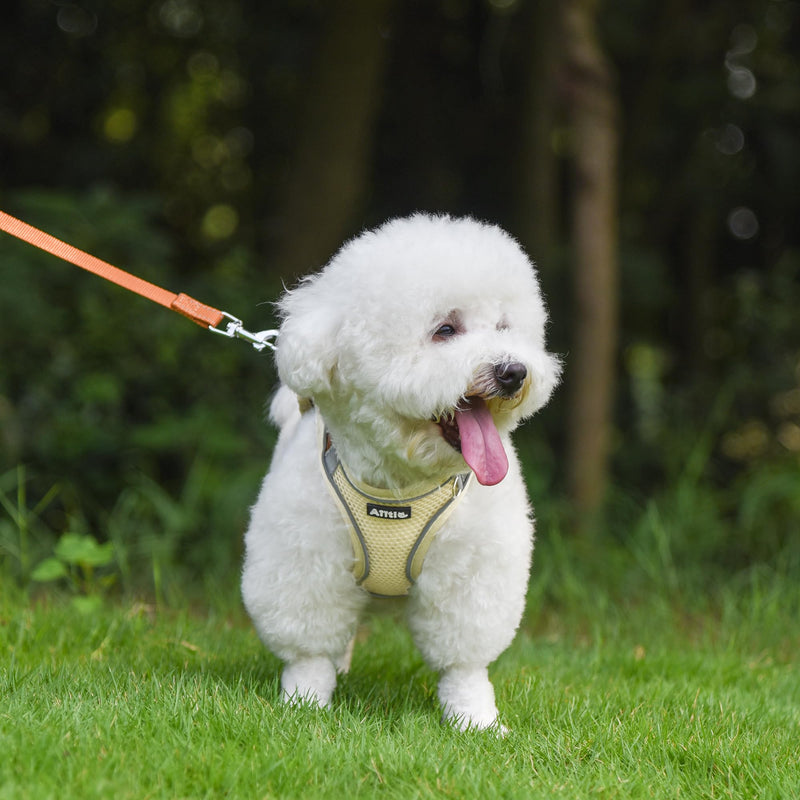 AIITLE No Pull Dog Harness and Leash Set, Step in Adjustable Dog Harness with Padded Vest for All Weather, Dog Leash with Soft Padded Handle, Easy to Put on Small and Medium Dogs Beige S S(Chest: 13.5 - 16") Beige-Brown - PawsPlanet Australia