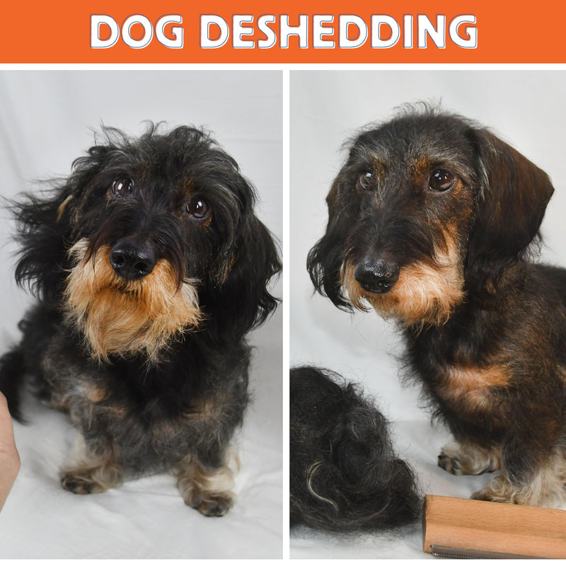 Jocomb Wooden Deshedding Brush for Dogs, Cats & Horses - Gentle Grooming Tool for Thick, Short & Wiry Coats - Dematting Pet Brush for Shedding Control & Comfort - PawsPlanet Australia