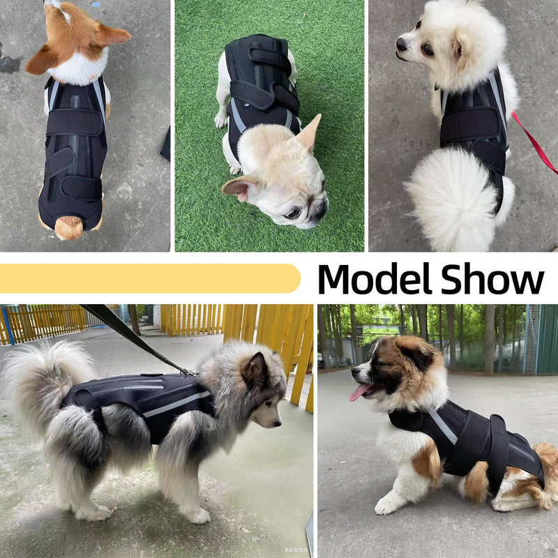 Dog Back Brace M, Adjustable Spine Support Vest for IVDD, Slipped Disc, Herniated Disc, Arthritis, Post Surgery Recovery, Back Pain Relief for Dachshund,Corgi Black