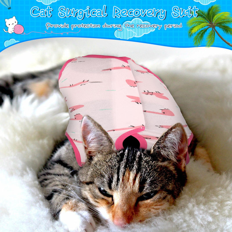 Kacctyen 6 Set Cat Recovery Suit After Surgery Female and Male Cat Surgery Suit Kitten Recovery Suit E Collar Alternative Pajama Cat Clothes for Spay Suit Abdominal Skin Anti Licking(Animal,Medium) Animal Medium - PawsPlanet Australia