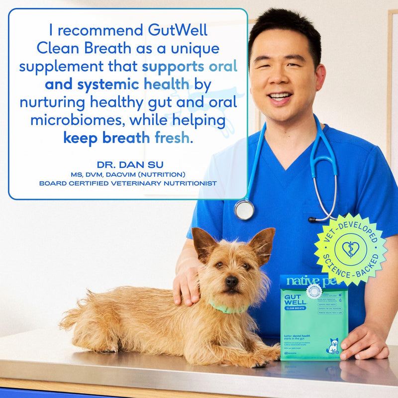 Native Pet GutWell Clean Breath - Dog Breath Freshener & Dog Dental Powder - Teeth Cleaning to Reduce Plaque & Tartar - Promotes Fresh Breath with Targeted Triple-biotic Dental Care Blend - 60 Scoops - PawsPlanet Australia