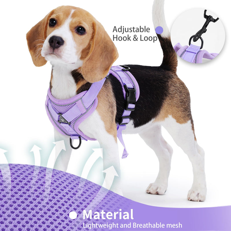 No Pull Dog Harness with Leash Set for Small Sized Dog, Reflective Adjustable No Choke Front Clip Cat Vest Harness with Breathable Mesh, Comfortable Soft Padded Pet Vest, Purple S S (Neck 9.63-12.78'' Chest 10.42-14.35'') - PawsPlanet Australia