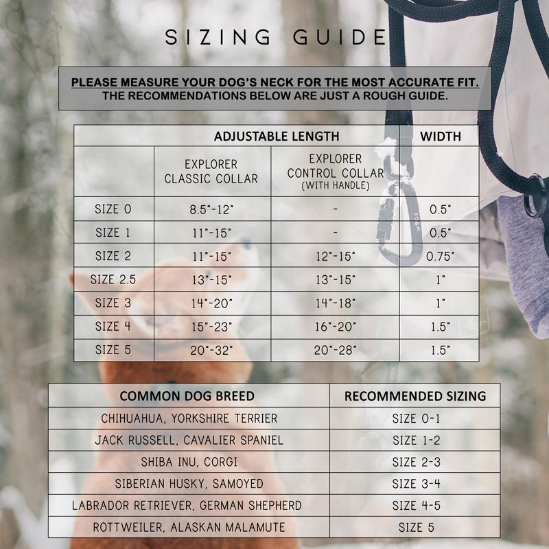 Made to ROAM Premium Dog Collar - Adjustable Heavy Duty Nylon Collar with Quick-Release Metal Buckle (Oregon Haze, Classic Size 4) Oregon Haze Classic 4 - PawsPlanet Australia