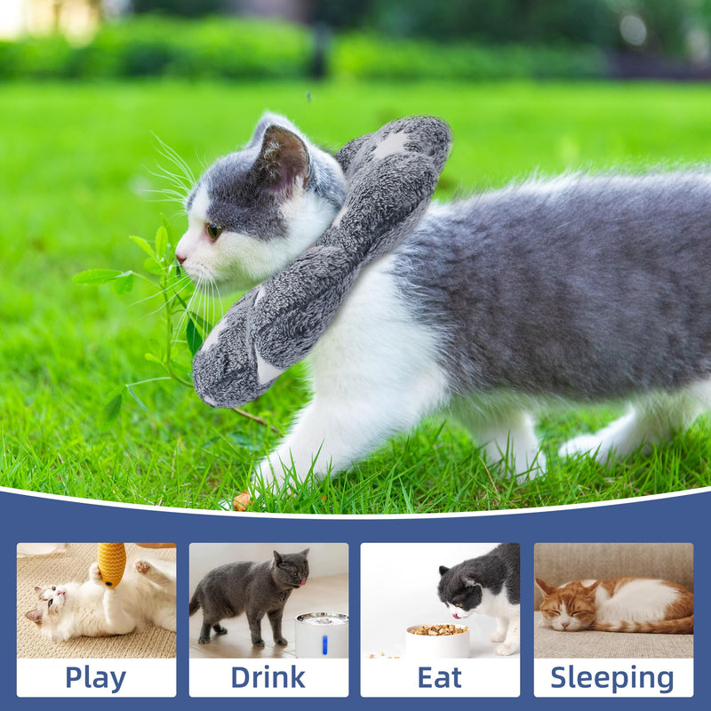 MABOZOO Adjustable Cat Cone Collar Glow in The Dark, Pet Recovery Collar Elizabethan Collar for Kittens Cats After Surgery, Pet E Collar Neck Cone After Surgery for Small Animal Stop Licking(L) L - PawsPlanet Australia