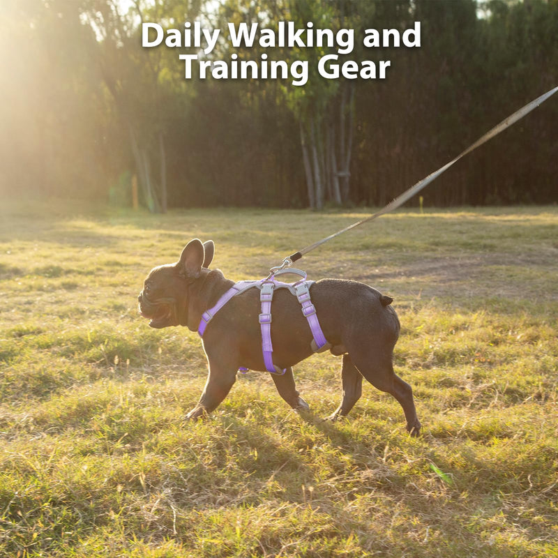 Huntboo Escape Proof Dog Harness, No Pull Reflective Harness with Lift Handle,Adjustable Pet Vest with Front and Back Leash Clips for Small Medium Large Dogs Walking Hiking Training(Lavender Purple,L) Lavender Purple Large(Pack of 1) - PawsPlanet Australia