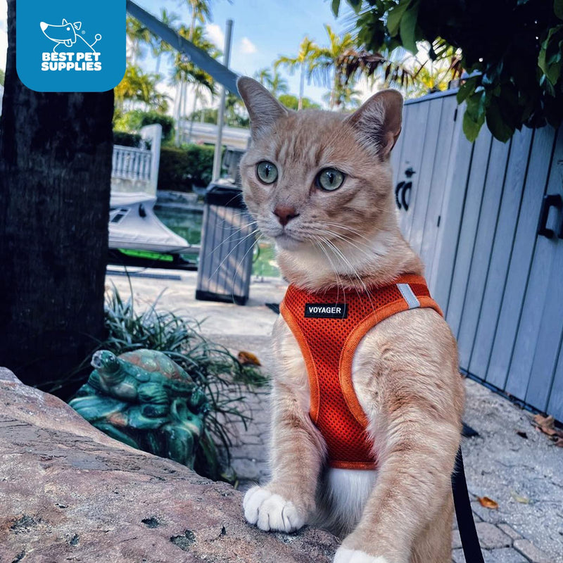 Voyager Step-In Air Dog Harness by Best Pet Supplies - All Weather Mesh Step in Vest Harness for Small and Medium Dogs, Orange, size L - Chest: 18 - 20.5" Harness (Orange) L (Chest: 18 - 20.5")