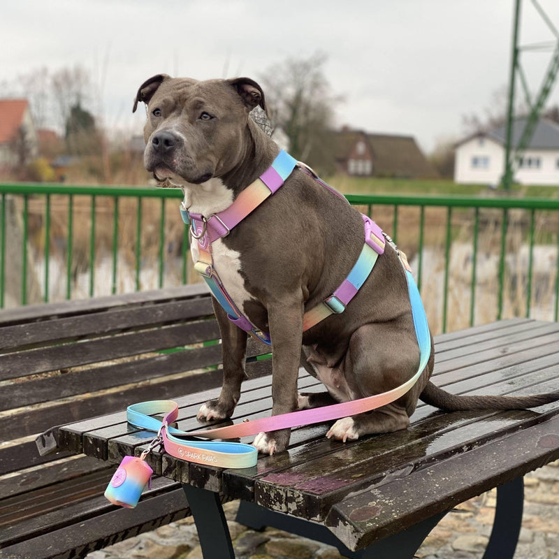 Spark Paws Premium Dog Leash & Poop Bag Set - Heavy-Duty Alloy Hook for Strong Pulling Breeds - Comfortable, Durable & Secure - Pastel Icing - PawsPlanet Australia