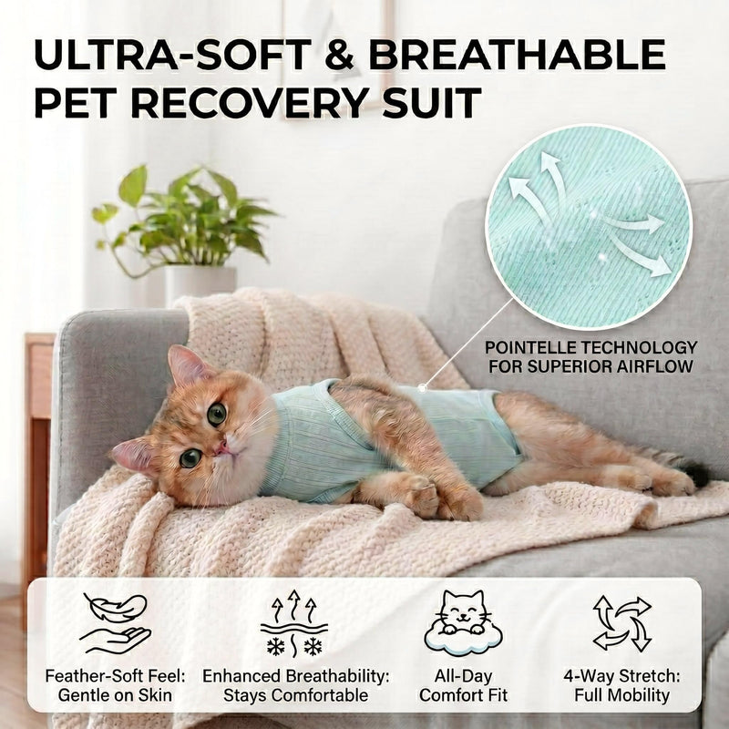 Zunea Cat Recovery Suit after Surgery, Soft, Breathable, Kitten/Puppy E-Collar Alternative for Abdominal Wounds or Skin Diseases, Postoperative Protective Suit for Small Dogs, Green, L